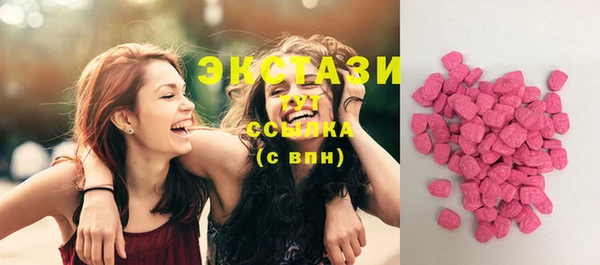 индика Горно-Алтайск