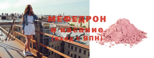 стаф Гатчина