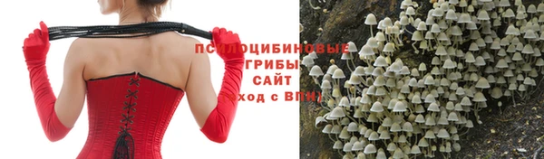 индика Горно-Алтайск