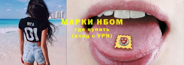 молекула духа Шенкурск
