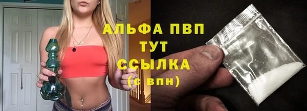 гидра Галич