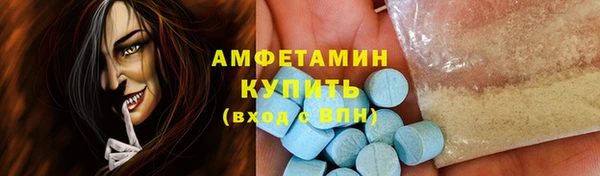 гидра Галич
