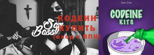 индика Горно-Алтайск