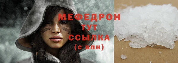 гидра Галич