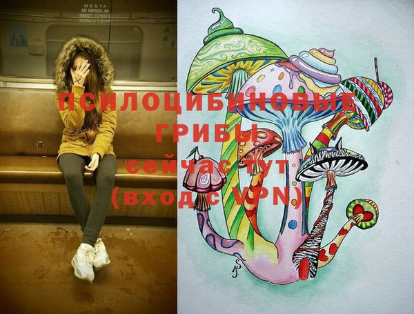 стаф Горнозаводск