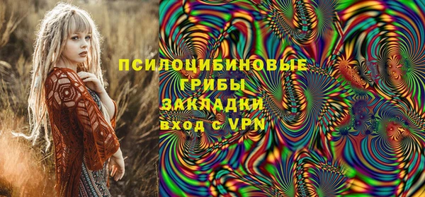 стаф Горнозаводск