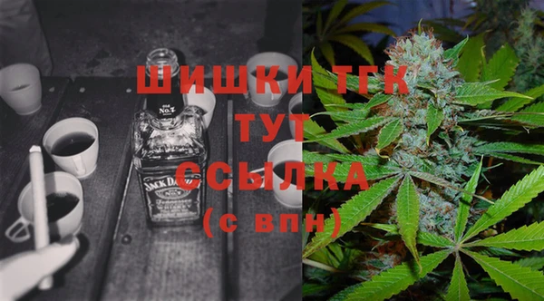 стаф Горнозаводск