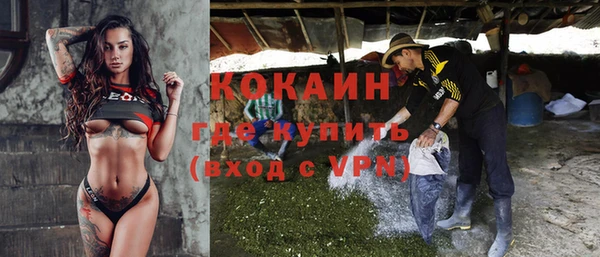 индика Горно-Алтайск