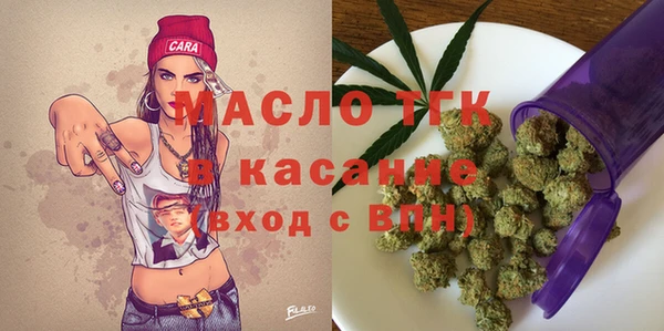 индика Горно-Алтайск