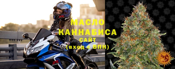 стаф Гатчина