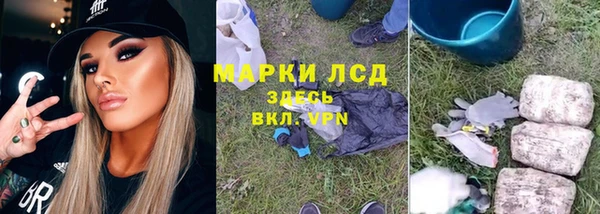 стаф Горнозаводск