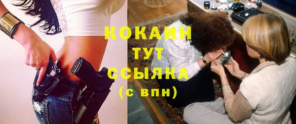 индика Горно-Алтайск