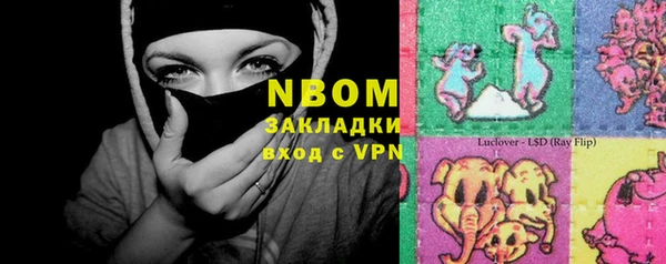 индика Горно-Алтайск