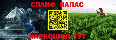 дживик Вязьма