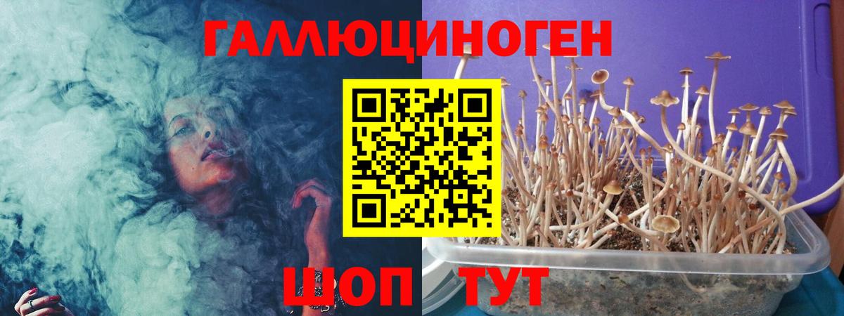 Галлюциногенные грибы Cubensis  Дальнереченск 